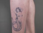 Sailor