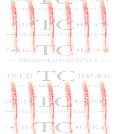 Whip Marks 04