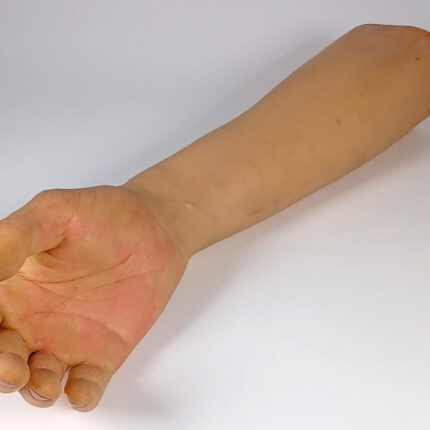 Ringo - Rechter Arm BACKGROUND