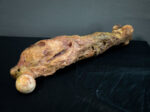 Rotten Leg