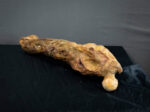 Rotten Leg