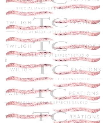 ScarsAndSutures_11B