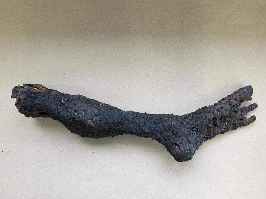 Burned Foot Burned Foot