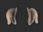Creature Ears
