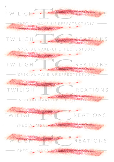 Whip Marks 02