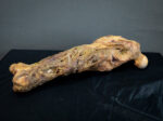Rotten Leg