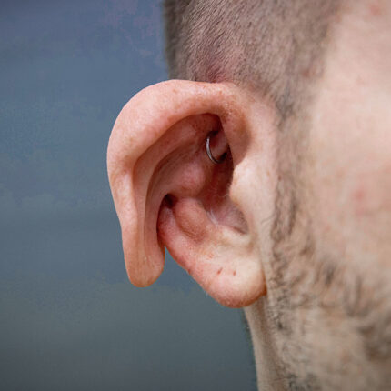 Creature Ears