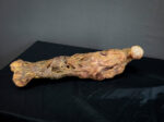 Rotten Leg
