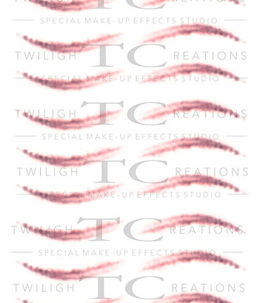 Whip Marks 09