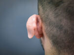 Creature Ears