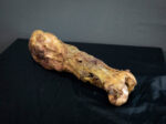 Rotten Leg