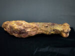 Rotten Leg