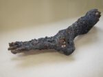 Burned Foot