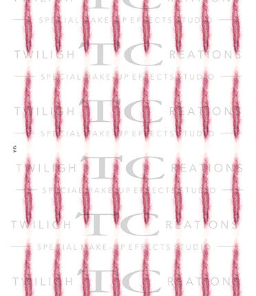 ScarsAndSutures_12A
