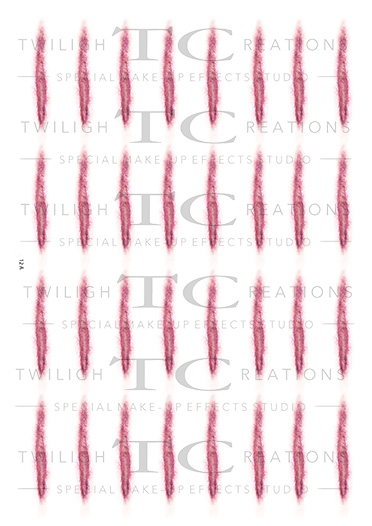 ScarsAndSutures_12A