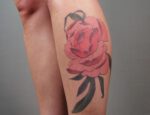 Blossom