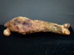 Rotten Leg