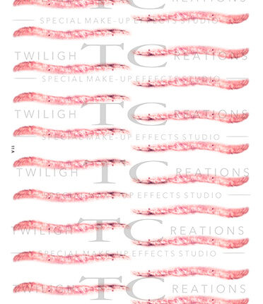 ScarsAndSutures_11A