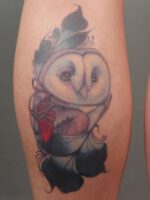 Cute Owl