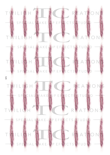 ScarsAndSutures_12B