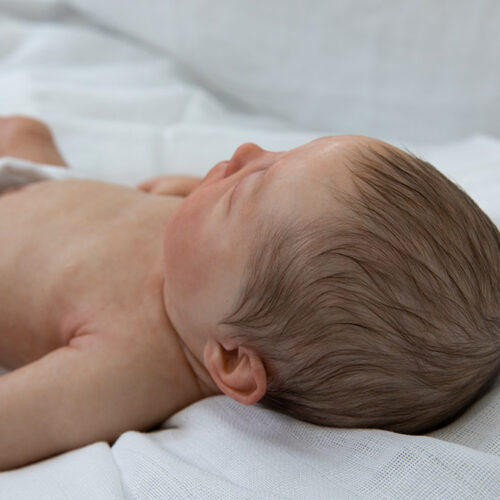 Baby Robin Dreaming